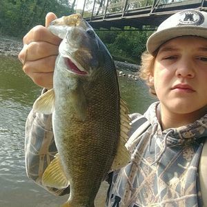 Meet your Posher, Avery